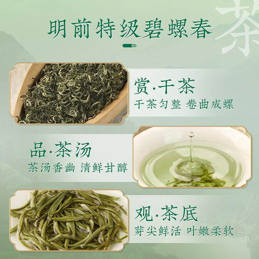 【碧螺翠韵】去寻早春碧螺春明前茶叶礼盒装 净含量250g 商品图6