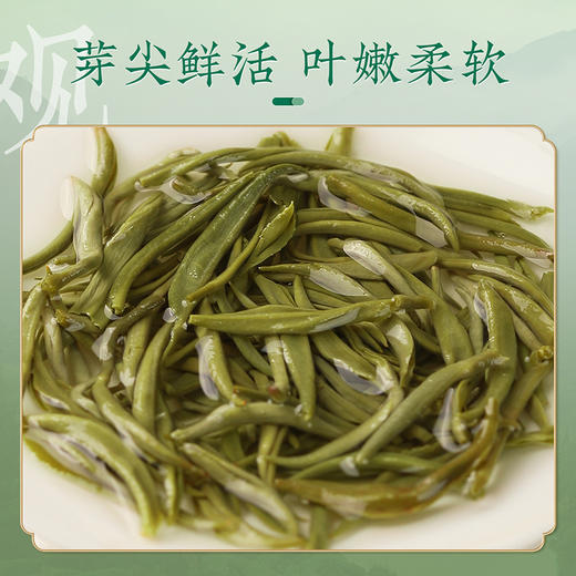 【碧螺翠韵】去寻早春碧螺春明前茶叶礼盒装 净含量250g 商品图4