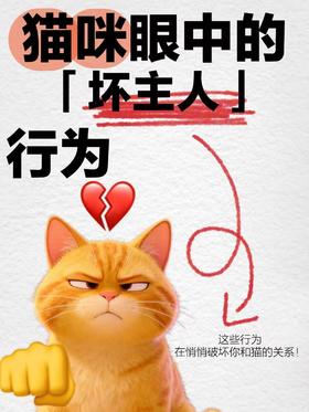 “铲屎官避雷指南”猫咪心里苦，但猫不说