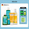 【大南南】WELEDA维蕾德迷迭香头皮护理精华液100ml小米洗发水190ml燕麦洗发水190ml 商品缩略图0