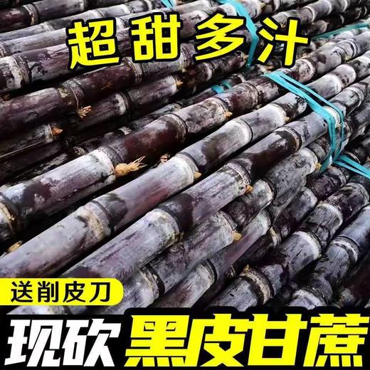 【秒杀❗️19.9抢5斤🔥广西黑皮甘蔗】农家种植，现采现发，清甜多汁！新鲜水果整箱脆甜应当季营养健康 商品图0