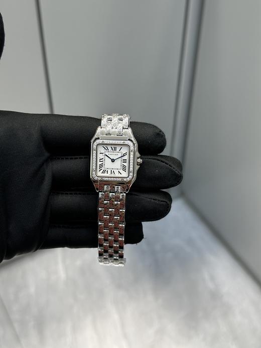 SH010-卡家猎豹手小号中号尺寸齐 钻圈款（SH） 商品图5