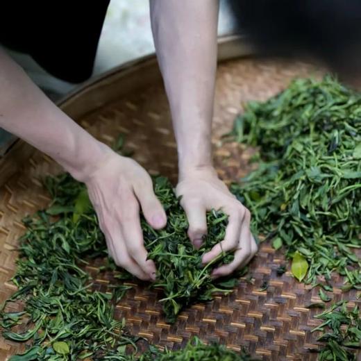 槚丛·凤凰单丛 ｜ “茶界双冠王”亲制，香气鲜明，山韵持久 商品图4