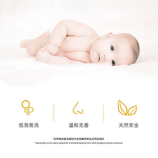 LARGE 洗碗机机体清洁片清洁剂20g×10片 商品图7