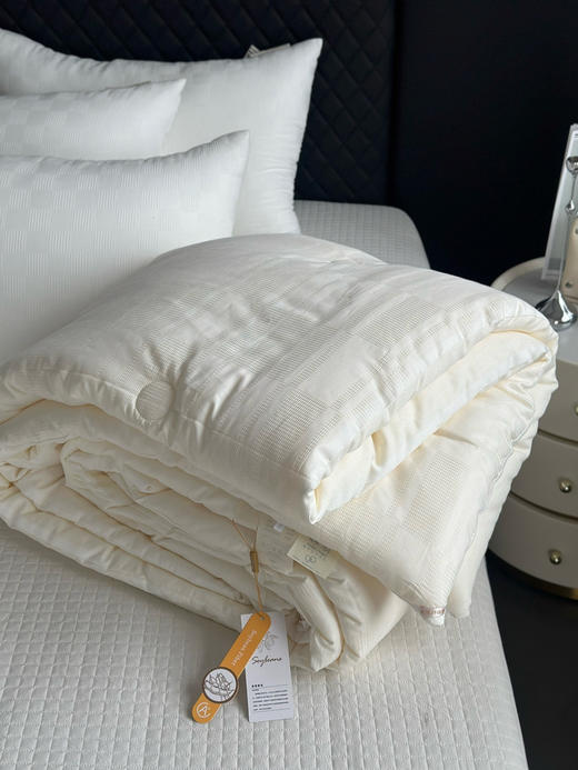 抑菌透气温暖！ 福利款30%大豆被春秋被冬被 品牌公司全棉提花面料 蓬松柔软 呵护健康睡眠 商品图10