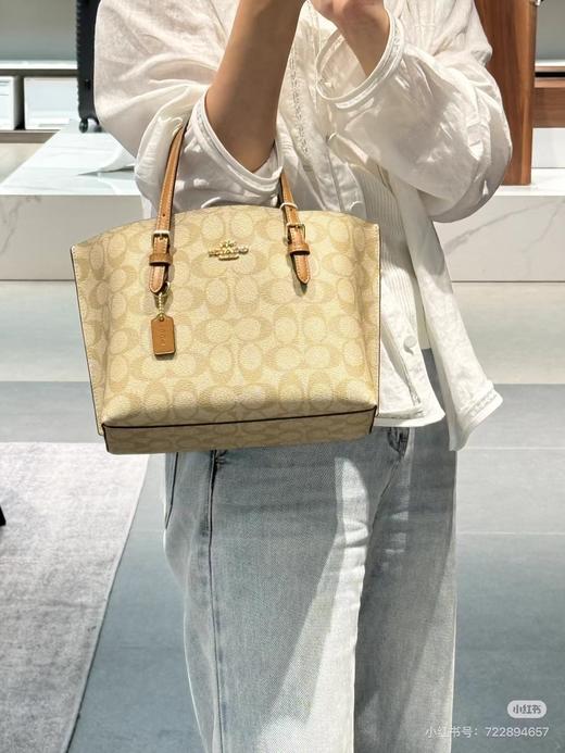 D102057等比例缩小版托特包Mollie Tote小号斜挎手提包 商品图4