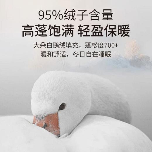 笙观相沐鹅绒被 95%绒子含量 大朵白鹅绒填充 高蓬饱满 轻盈保暖 商品图1