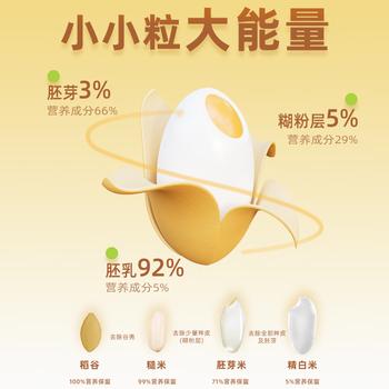 贝因美有机小小粒胚芽米450g营养谷物杂粮粥米辅食东北大米圆粒主食便携 商品图1