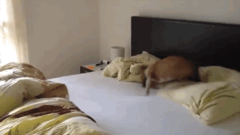 比男人更懂男人的内裤！