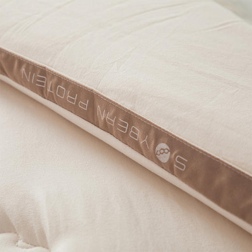 芳恩 极地抗寒大豆被 商品图2