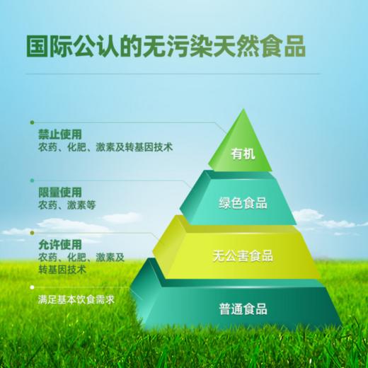 阴山优麦有机纯燕麦片1000g/桶 商品图4