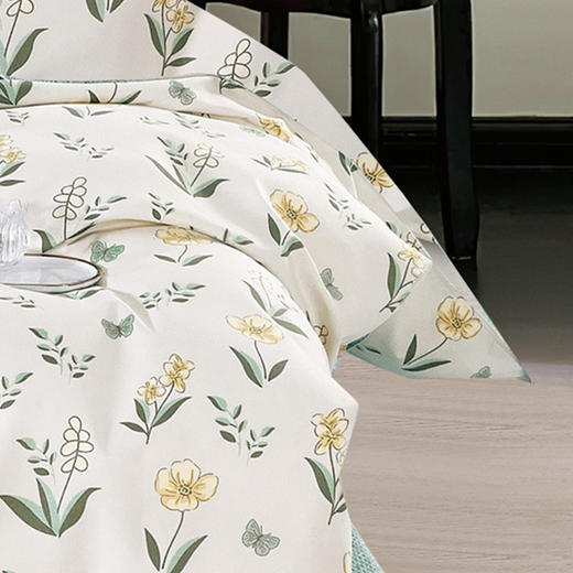 芳恩 长棉绒印花四件套 商品图2