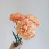 单头康乃馨-橙光-18-20枝 商品缩略图0