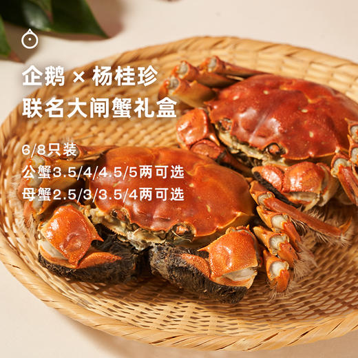 企鹅吃喝 x 杨桂珍联名 太湖大闸蟹礼盒包装  鲜活螃蟹 多规格可选 商品图2