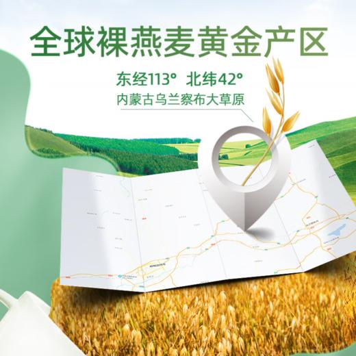 阴山优麦有机纯燕麦片1000g/桶 商品图1