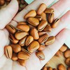 山苑开口红松子大粒特大粒松子王250g 商品缩略图2
