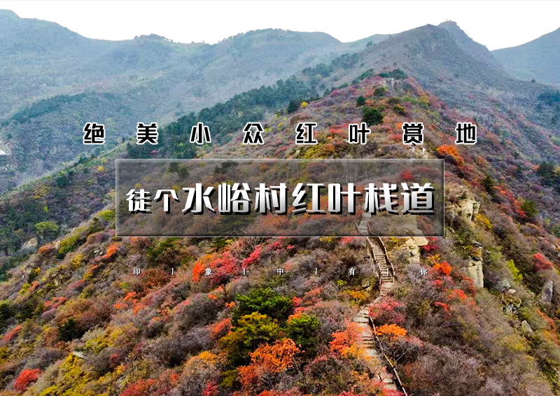 周末1日｜秋版•水峪红叶栈道｜看房山最美红叶の南窖村-水峪村-红叶栈道12公里环穿