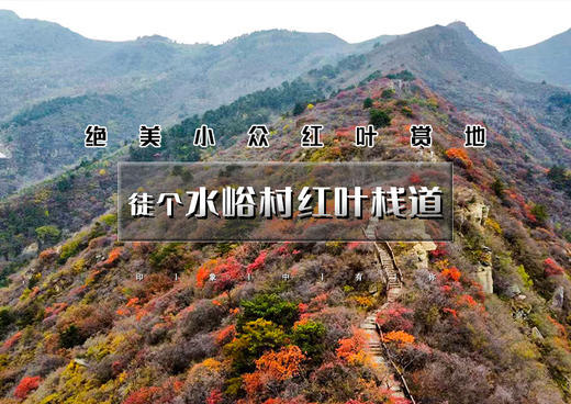 周末1日｜秋版•水峪红叶栈道｜看房山最美红叶の南窖村-水峪村-红叶栈道12公里环穿 商品图0