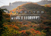 周末1日｜秋版•药王谷坡峰岭｜秋染双谷の2025醉美赏红叶线路药王谷-坡峰岭徒步穿越-10公里<初级> 商品缩略图0