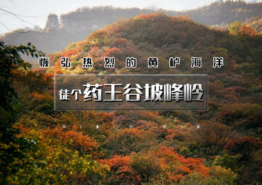 周末1日｜秋版•药王谷坡峰岭｜秋染双谷の2025醉美赏红叶线路药王谷-坡峰岭徒步穿越-10公里<初级> 商品图0