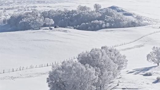 【2026寒假 | 雪原牧歌·乌兰布统6天5晚亲子营】北京集散，高性价比玩雪！全天滑雪、越野车穿越、冬日雪骑、游牧音乐会、rua驯鹿、渔猎Glamping、长城徒步、温泉……第二波早鸟减700元/人！ 商品图10
