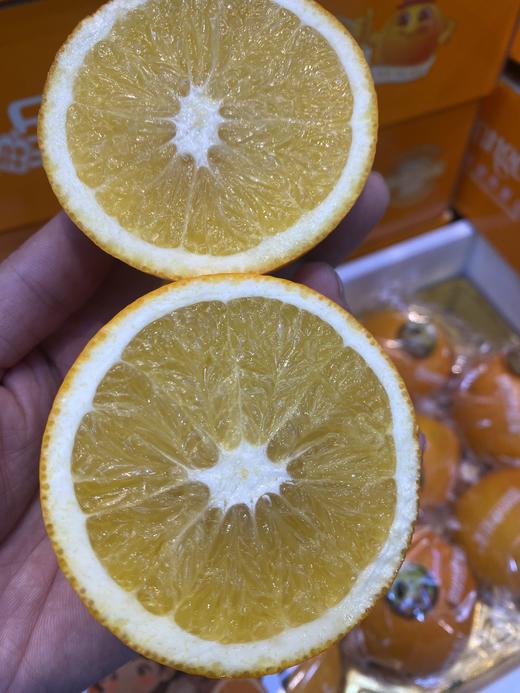 橙皇脐橙 汁水足 甜度好，浓甜微酸 橙味浓郁 CCTV上榜品牌 商品图3