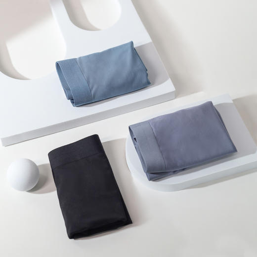 狂野橘子 男士莫代尔内裤 商品图2