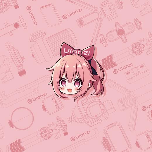 Ulanzi优篮子百贴布相机内胆包自粘魔术百折布U宝定制款 商品图0