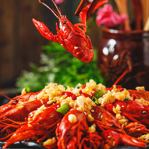 【清水小龙虾】秘制 虾膏甘香  肉质Q弹 干净，Q弹 商品图4