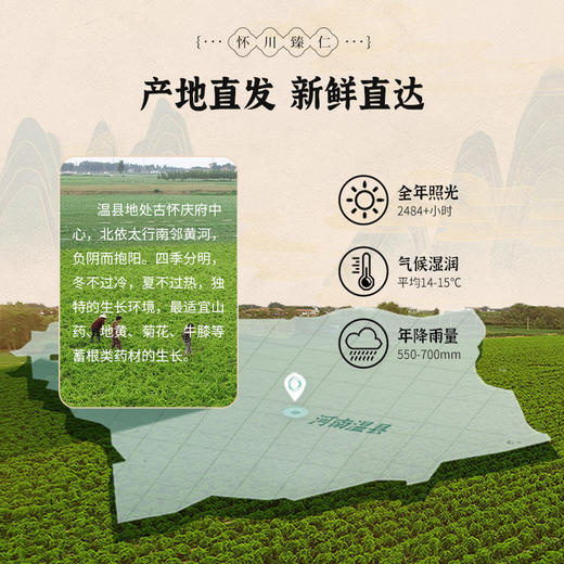 【绿色食品认证】温县怀川臻仁中原贡品铁棍山药5斤包邮 新鲜采挖，产地直发 商品图1