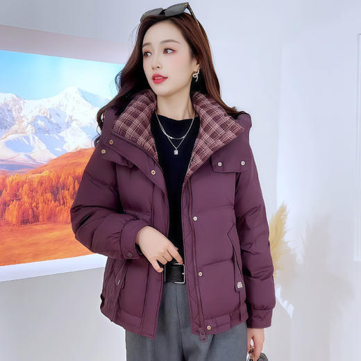 QYMYJ-25XYY05-Y连帽羽绒服2025年秋冬季新款加厚白鸭绒保暖羽绒服宽松休闲羽绒服 商品图1