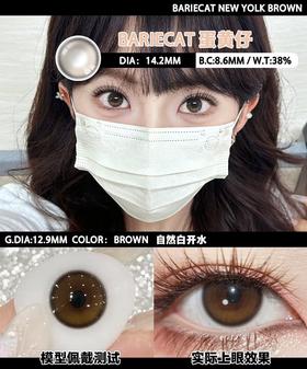 Egg Brown 蛋黄仔【日抛】