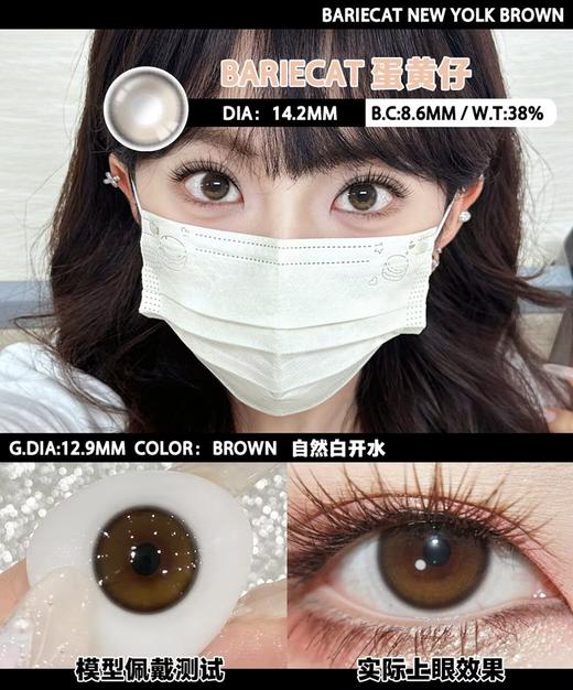 Egg Brown 蛋黄仔【日抛】 商品图0