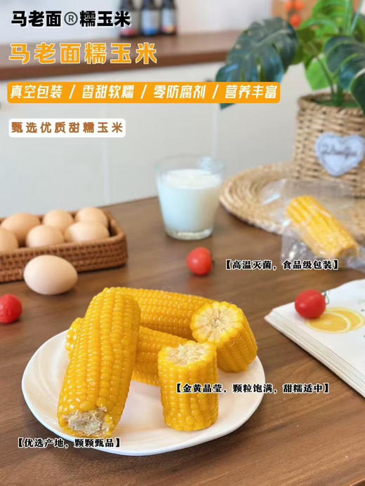 马老面玉米棒棒 商品图3