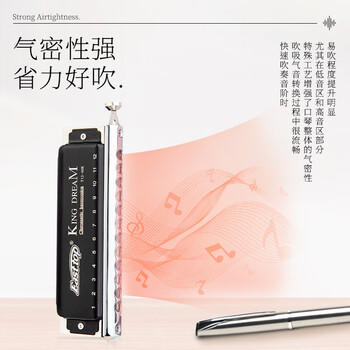 东方鼎（EAST TOP）半音阶口琴12孔48音初学金色梦想者T12-48K 商品图1