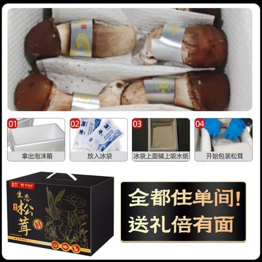 【华牧鲜】生态松茸新鲜松茸菌7-9cm未开伞现采现发出口级新鲜松茸鲜菌菇 精品松茸7-9cm丨净重500g 商品图8