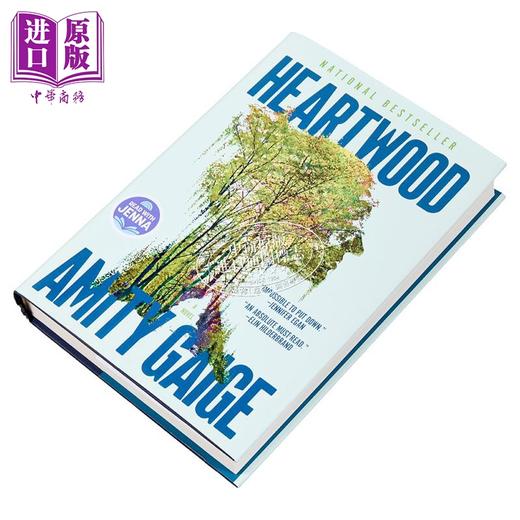 预售 【中商原版】心材 Heartwood 英文原版 Amity Gaige 荒野生存小说 温暖故事 商品图1