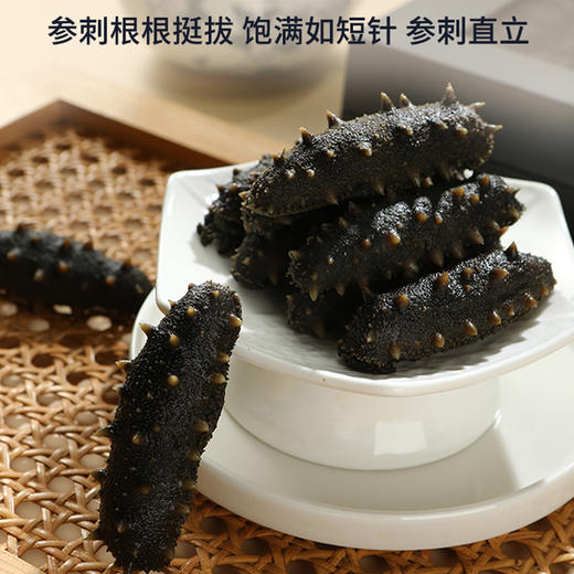 大连壮元海 双有机长海地标盐渍海参 4-5倍泡发倍率 商品图2