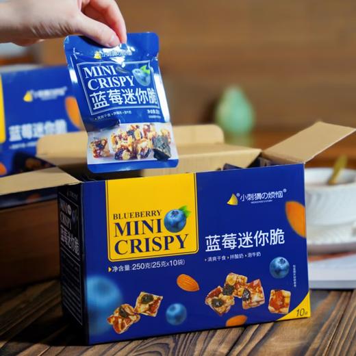 小刺猬的烦恼 山姆同款蓝莓迷你脆 坚果礼盒炒货干果儿童孕妇送长辈零食 250g/750g 商品图8