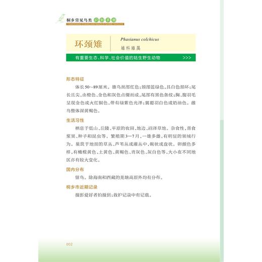 桐乡常见鸟类识别手册/吴惠仙 娄钦 金伟 编著/浙江大学出版社 商品图2