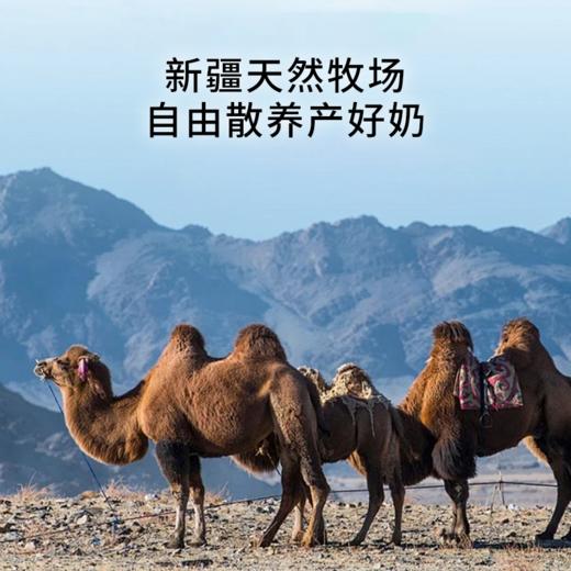 金驼冠 全脂驼乳粉 300g 商品图2