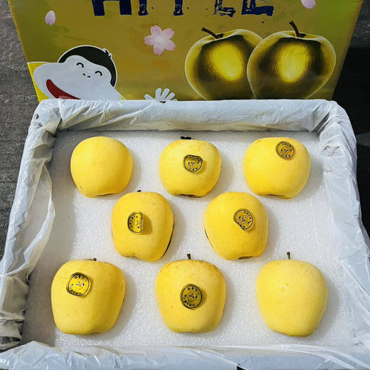 雀斑维纳斯苹果 礼盒一箱8-9个 带苹果香味 酥脆多汁 商品图0