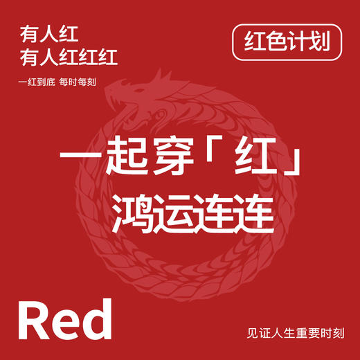 蛇年本命年新婚大红色内衣文胸套装性感蕾丝大胸显瘦显小收副乳子墨浮华套红 商品图3