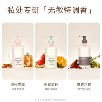 WICKLE植萃抑菌内衣内裤洗衣液300ml（无羁绮行） 商品图2