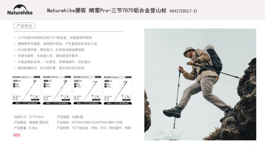 Naturehike挪客 登山杖 商品图3