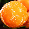 【"秋冬果汁炸弹" 皮薄如蝉翼 无籽无渣】四川爱媛38号果冻橙 净重4.5斤-8斤装中大果 升级套袋果 商品缩略图13