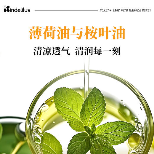 KINDELILUS 蜂蜜鼠尾草糖 温和滋养 50片/盒 商品图2