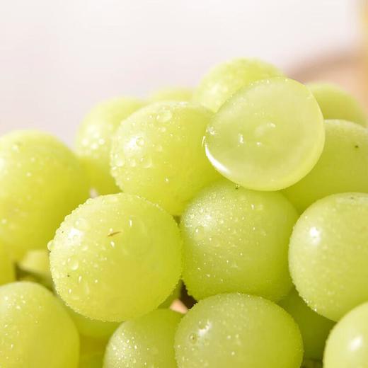 看得见的放心青提 750g/份 商品图3