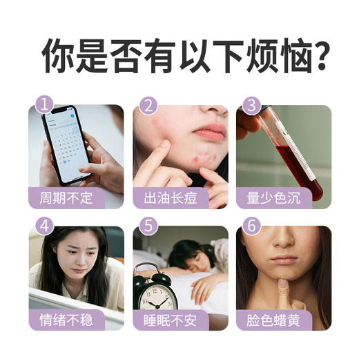 【新品上市】CHALI茶里种子循环茶盒装66g（5.5g*12包） 商品图2