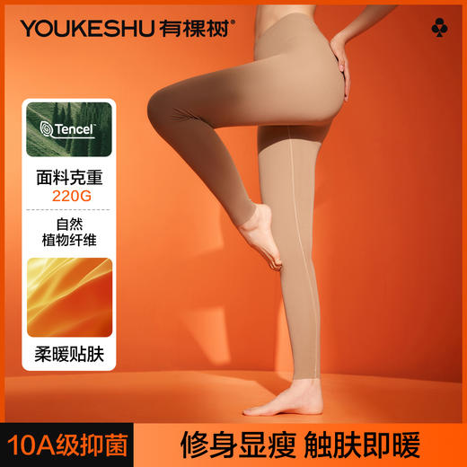 【50S发热丝】【10A抑菌】【M-2XL】【有棵树】女士莫代尔秋裤保暖裤 商品图9